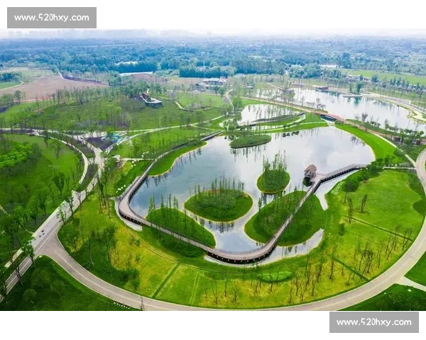 水上场地设计与利用创新探讨:提升功能性与环境可持续性的多维路径